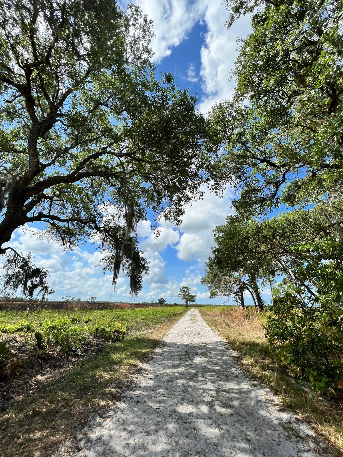 Summertime Florida Hiking – RH Photo Adventures